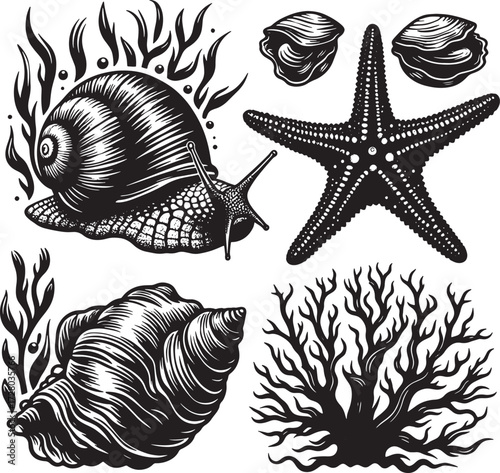 sea animal black silhouette art transparent background design stock photos premium quality