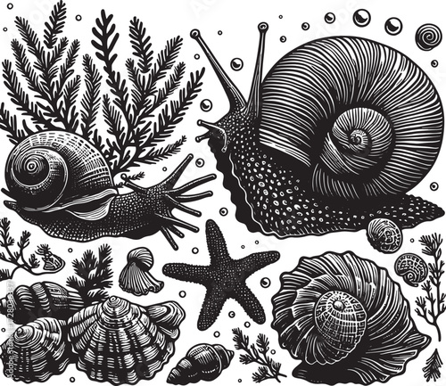 sea animal black silhouette art transparent background design stock photos premium quality