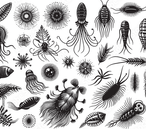 sea plankton black silhouette art transparent background design stock photos premium quality