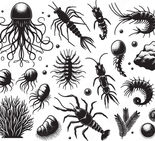 sea plankton black silhouette art transparent background design stock photos premium quality