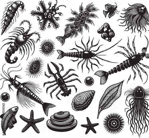 sea plankton black silhouette art transparent background design stock photos premium quality
