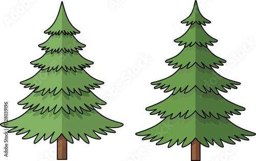 Evergreen pine tree illustration, Christmas tree drawing, conifer forest plant vector artwork, green fir tree design, nature holiday season clipart