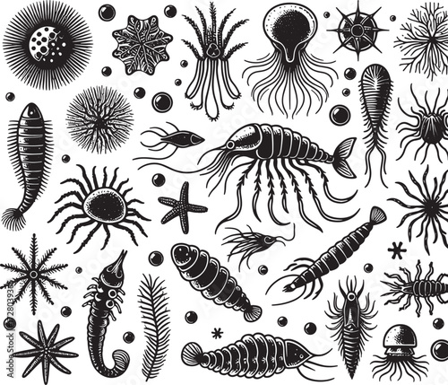 sea plankton black silhouette art transparent background design stock photos premium quality