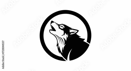 vector illustration of a lion