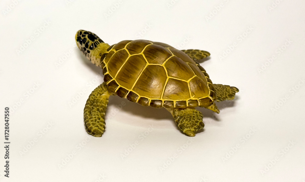 Obraz premium Turtle figurine on white background