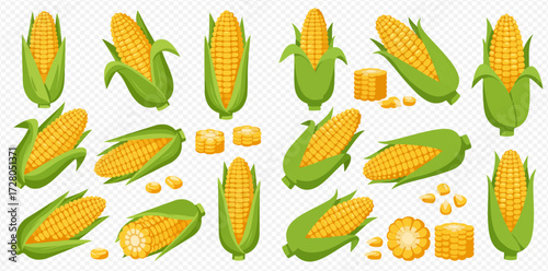 A vibrant collection of cartoon illustrations showcasing fresh yellow corn cobs with green husks, some peeled, cut into rounds, and with loose kernels.