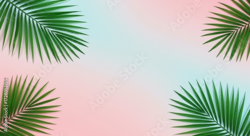 Tropical palm leaves arrangement on pastel background