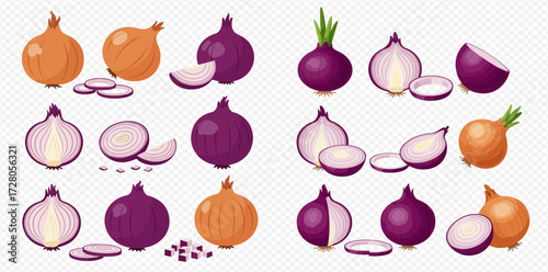 Detailed collection of various whole, halved, and sliced yellow and red onions, perfect for culinary designs.