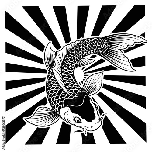 Striking black and white koi fish illustration with radiating lines for dramatic effect