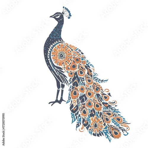 peacock vector illustration