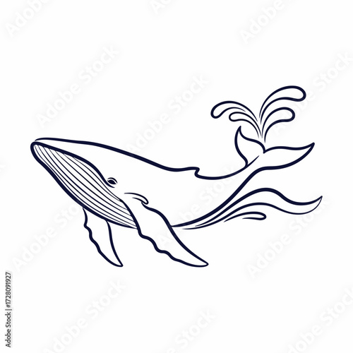 Elegant Line Art Whale Spouting Water Illustration Isolated on White Background