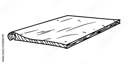 Illustration of a wood plank wood board wooden piece lumber timber hardwood softwood grain carpentry 100 char