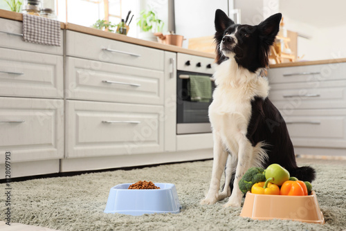 Border Collie dog and feedi...