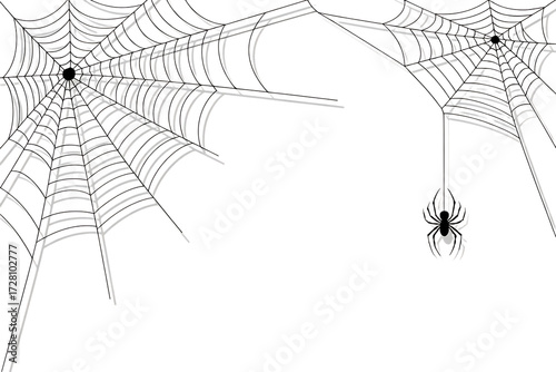 Detailed spooky halloween spiderweb design with a small spider hanging down isolated on transparent background