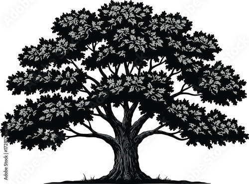 Oak tree silhouette, black and white vector illustration, detailed trunk and foliage, natural forest graphic, botanical artwork, isolated design, elegant nature element