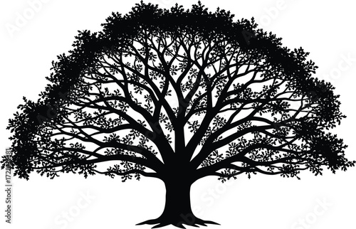 Silhouette tree illustration, black and white vector art, detailed branches and leaves, natural forest design, botanical graphic, isolated on white background