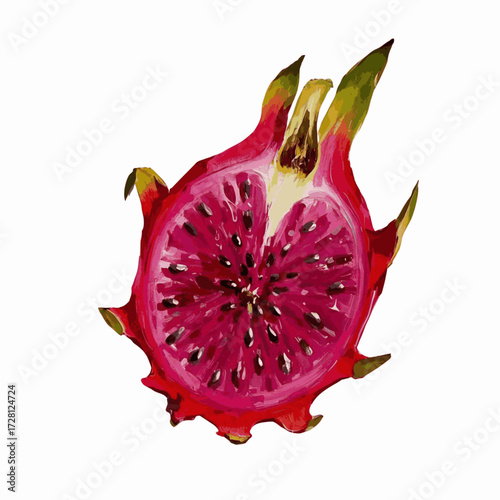 Inner Constellation Red dragon fruit halved isolated watercolor vector illustration svg