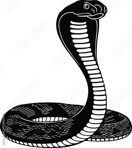 snake silhouette on white background