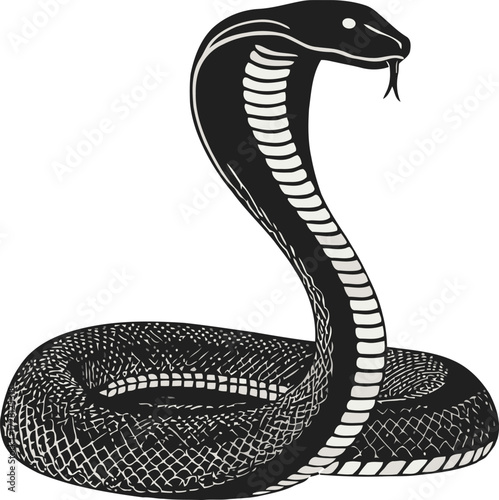 snake silhouette on white background