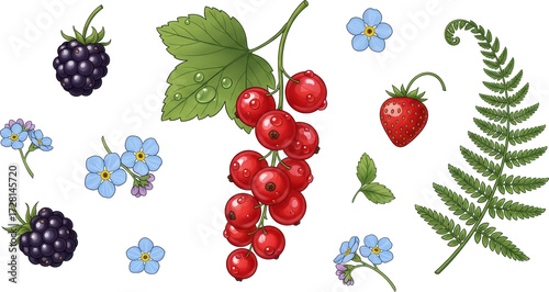 Vibrant Collection of Berries and Ferns with Blue Flowers Illustration