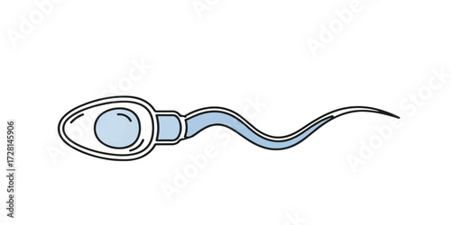 Detailed scientific illustration of a single sperm cell featuring sleek outlines and subtle blue shading