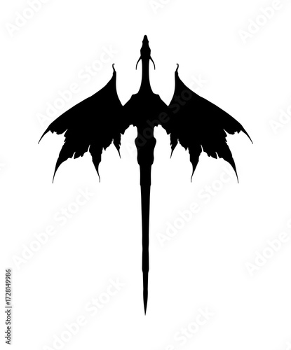 Фотография A silhouette of a symmetrical dragon silhouette with large wings, top-down view