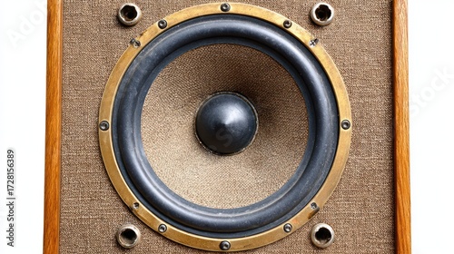 Vintage speaker cone closeup