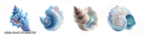 Collection of four abstract seashell illustrations in watercolor style.