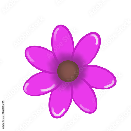 pink flower isolated on white