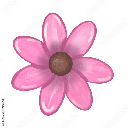 pink dahlia flower isolated