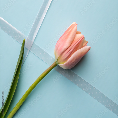 Single pink tulip with green stem and leaf on light blue background