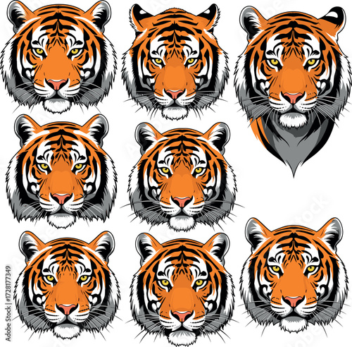 Vector set of majestic tiger portraits in bold graphic style isolated on white background