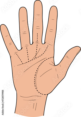Palmistry Hand Analysis Showing Lines and Features for Interpretation.