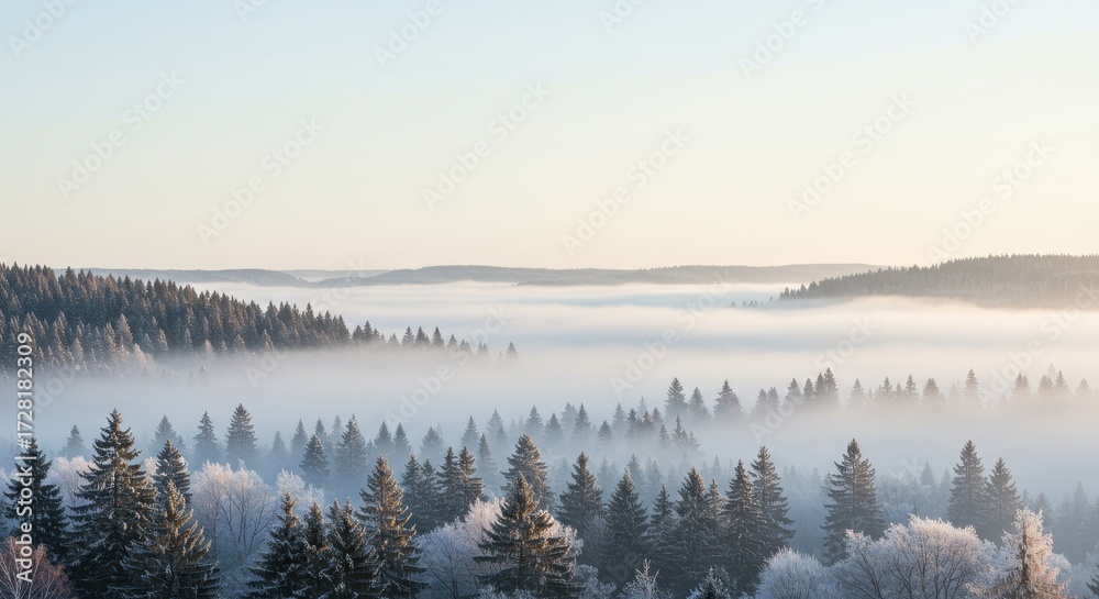 Fototapeta premium Misty Winter Landscape with Snow-Covered Trees and Soft Fog in a Serene Forest Scene at Dawn