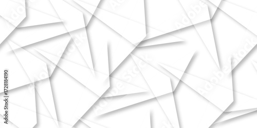 Abstract background with liens and triangles shape on white background. White and grey geometric overlapping rectangle pattern Geometric background soft shadows as patten ..White polygon textured .