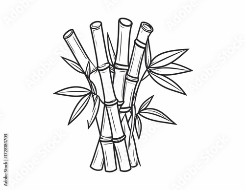 vector illustration of bamboo