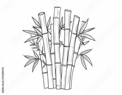 vector illustration of bamboo