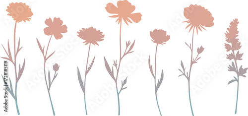 Floral silhouettes on white background delicate botanical illustration.