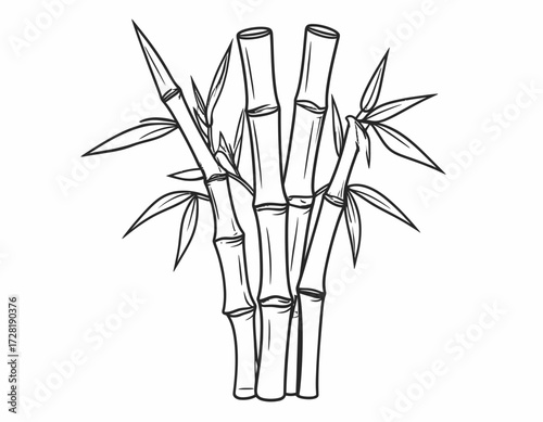 vector illustration of bamboo