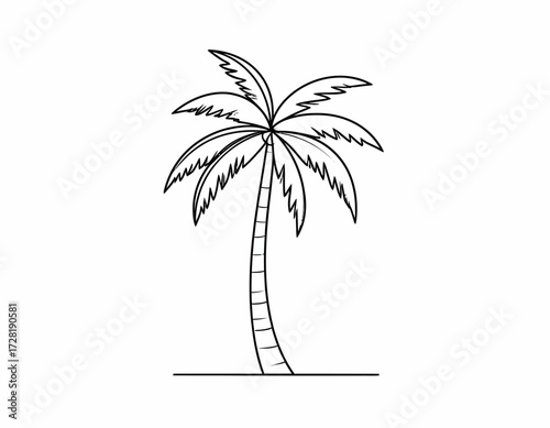 palm tree vector illustration