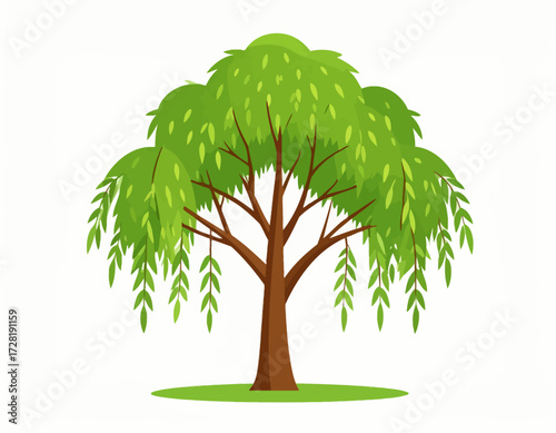 green tree isolated on white