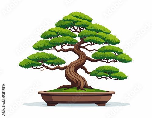bonsai tree isolated on white