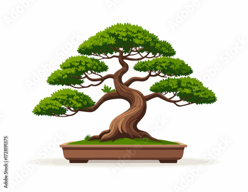 bonsai tree isolated