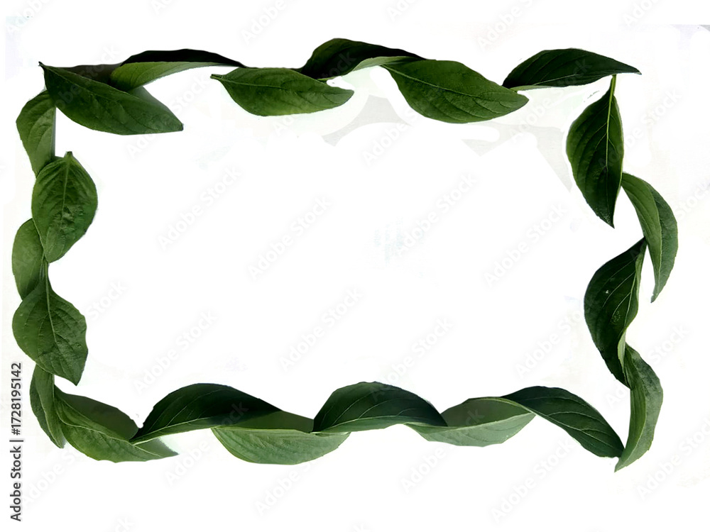 Naklejka premium “A circular wreath made from natural green leaves arranged in a round shape, isolated on a transparent background. Perfect for eco-friendly designs, botanical decorations, invitations, logos.