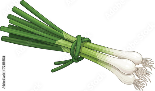 fresh green onion isolated on white