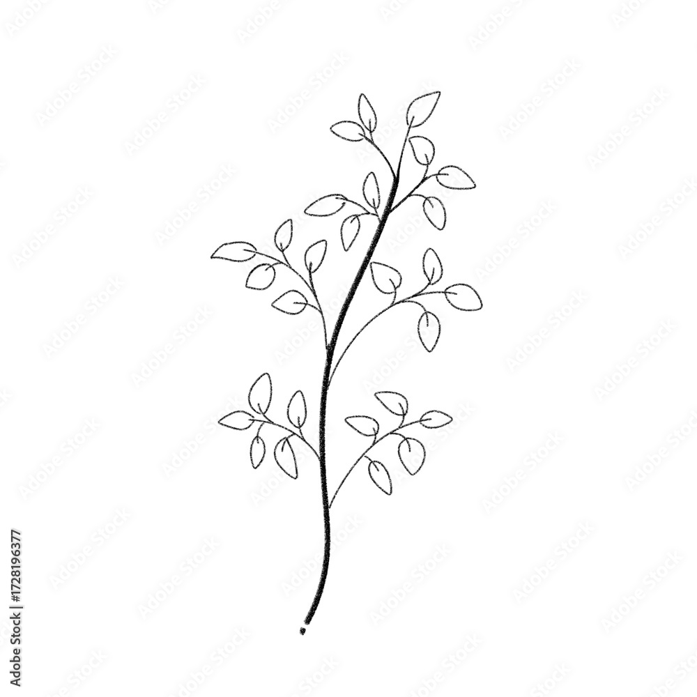 Fototapeta premium Hand Drawn Floral Line Drawing Clipart - Simple Outline Flower