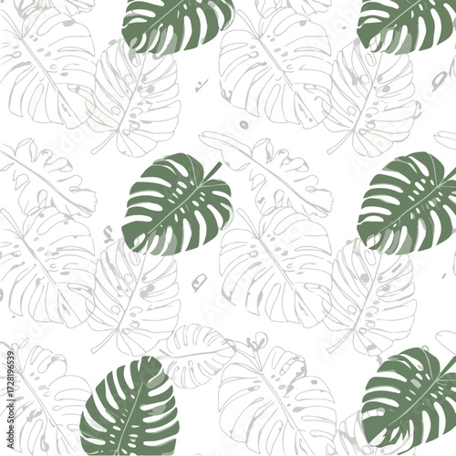 Tropical Monstera Leaves Pattern on White Background for Design.