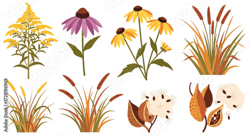 Colorful Autumn Wildflowers, Grasses, and Seed Pods Vector Set