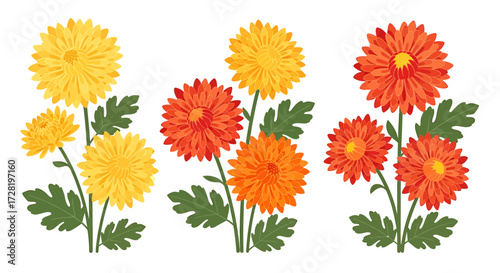 Vibrant Yellow, Orange, and Red Chrysanthemum Flowers Vector Illustration