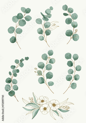 Watercolor eucalyptus leaves and floral elements on a white background.